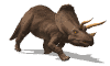 Triceratops 15kb