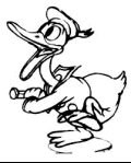 Donald 27kb