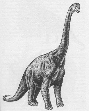 Brachiosaurus 21kb