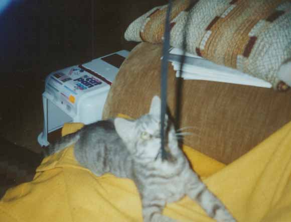 Leo 17 kb