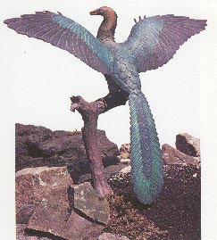 Archaeopteryx 20kb