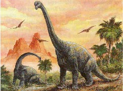 Brachiosaurus 19kb