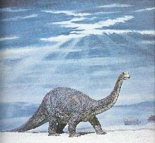 Brontosaurus 14kb