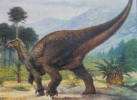 Diplodocus 19kb