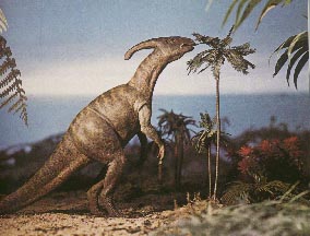 Parasaurolophus 18kb