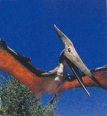 Pteranodon 14kb