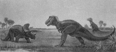 Rex 16kb