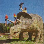 Triceratops 9kb