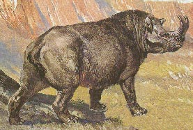 Brontotherium 23kb