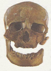 cromagnon 13kb
