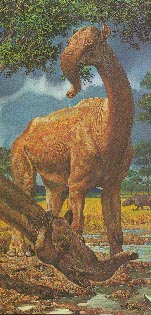 Macrauchenia 22kb