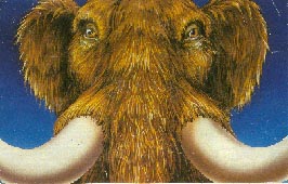 Mammut 18kb