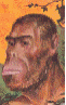 Urahn 31kb
