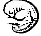 Embryo 32kb