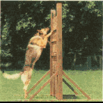 Hundsprung 65kb