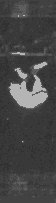 Katzfall 35kb
