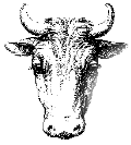 Rindmann 40kb