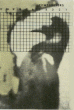 Specht 50kb