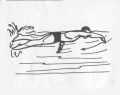 Schwimmer 42kb