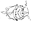 Vexierbild4 10kb